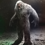 The Bigfoot Soldiers