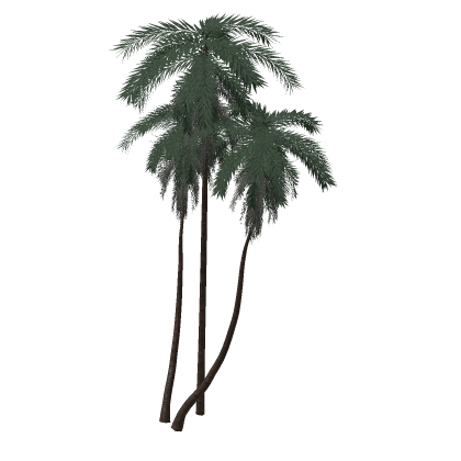  Realistic Palm Tree Tropical Beach Island Pbr 