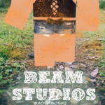 Beam Studios™