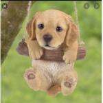 Perfect puppies
