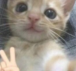 heya :3