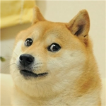 Doges Of Roblox