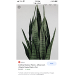 Plantation 5956