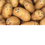 Potato god fans!
