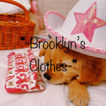 *-Brooklyn’s Clothing-*