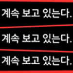 루즈 부대