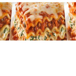 LASAGNA INDUSTRIES [NEW]