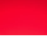Tfuud