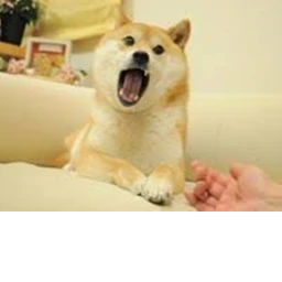 Doggo Empire (Discontinued) icon
