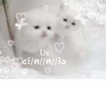 Go0d dool <3