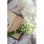 •!Lily of the valley•