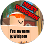 Meet Widgeon