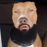 LightSkin Studios