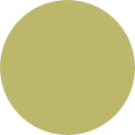 Dark Khaki