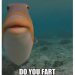 DoYouFart
