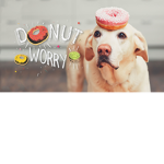 Doggie and Animal Army(DAA)