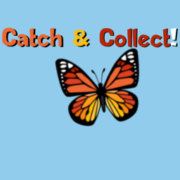 -- 🦋 --