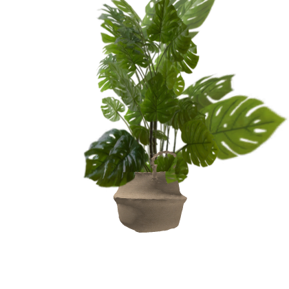 super realistic tropical plant 4k photorealistic