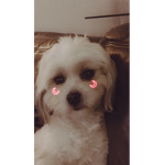 Boo da bootiful