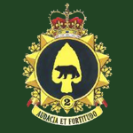 {2CMBG} 2 Canadian Mechanized Brigade Group