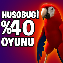Husobugi %40 Oyunu