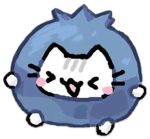 STAR_SKI