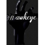 Hawkeye Skate Team