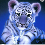 Tiger pack rules