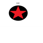 C.A.S.E