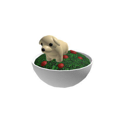 dog salad