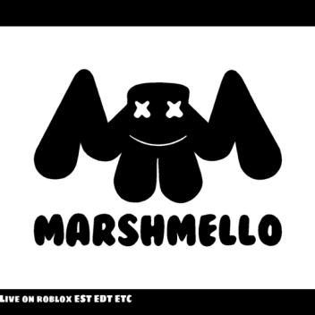 Marshmello Live Performance 