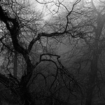 fading promises