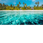 Tropical star