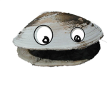 clam down
