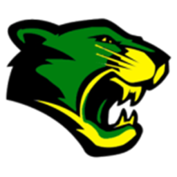Estadio Cibao -  San Pedro Panthers