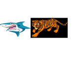 TIGER SHARK CLOTHING INC.