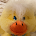 10 nights at ducks