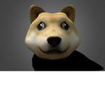 Doge cult only