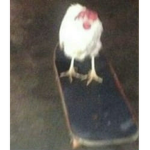 •яαgѕ тσ яι¢нєѕ ѕтσяє•