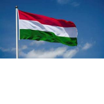 The Hungary Squad