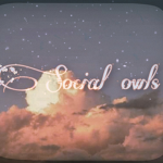 Social owls