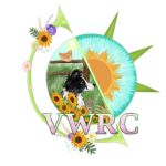 Virtuality World's Roleplay Community