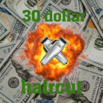 30 dollar haircut