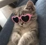 Jharae_jj