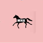 Mercury Horse Academy