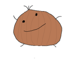 onion development studio