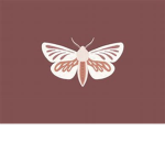 Fluffy moths