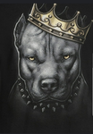 King Bulls