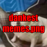 Dankest memes.png