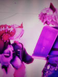 Coolgreatediters